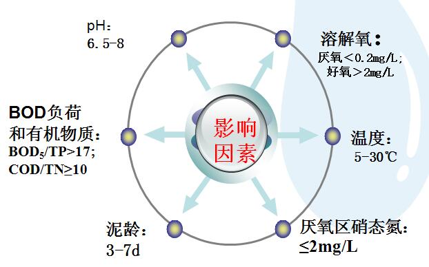 生物除磷影响